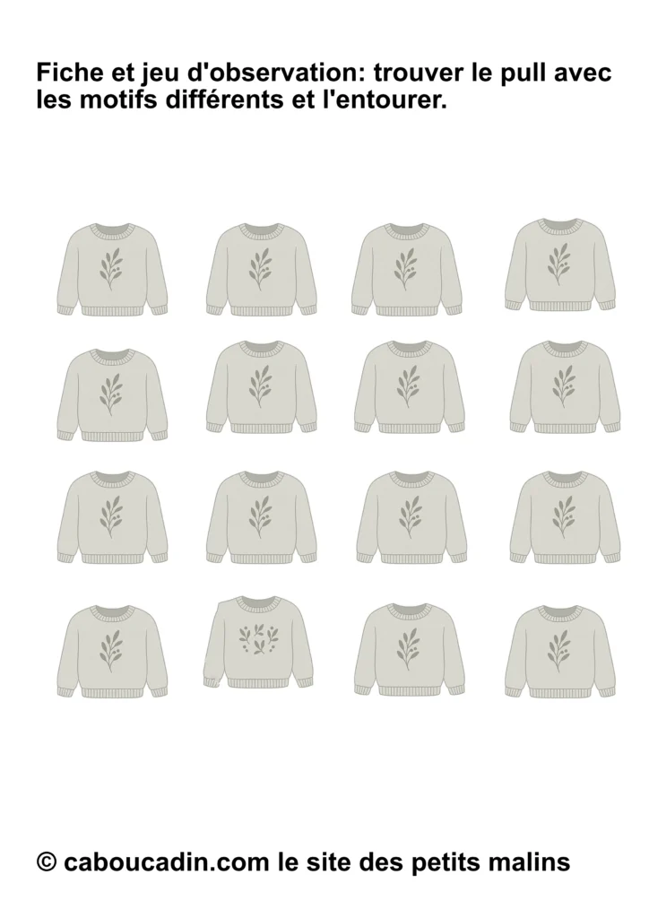 fiche observation maternelle pull different intrus 12