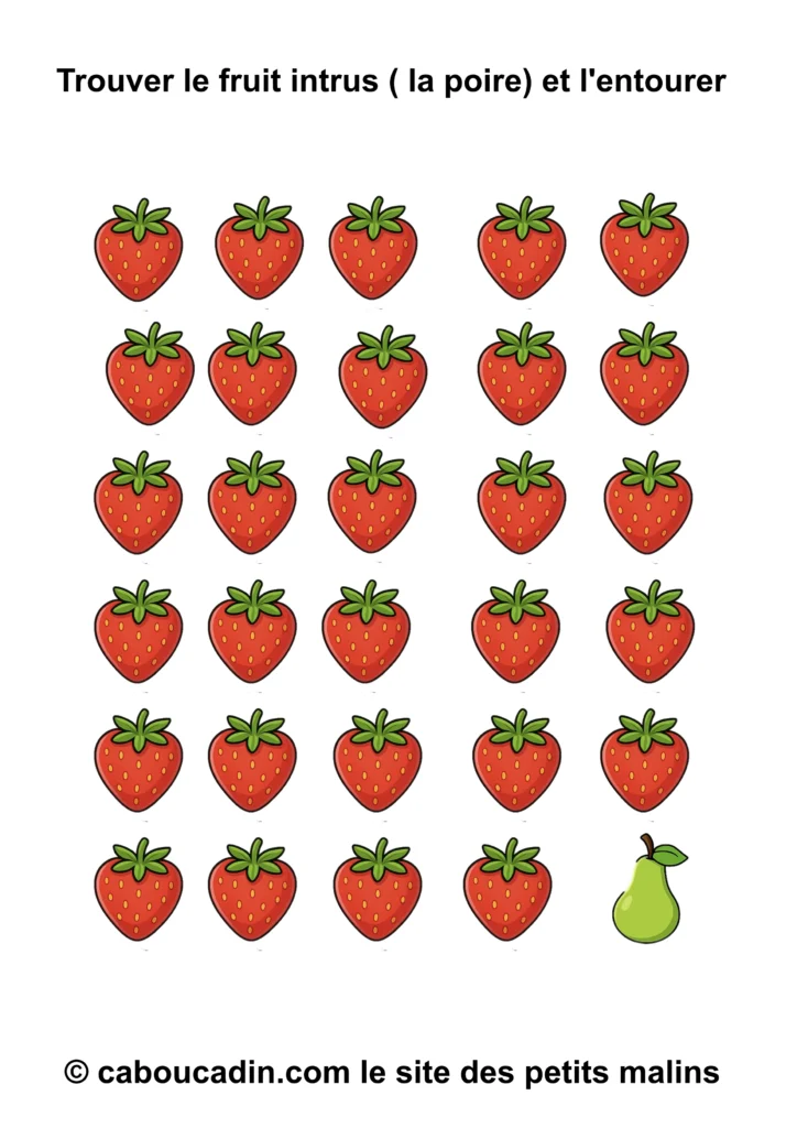 fiche observation trouver poire intrus caboucadin 13