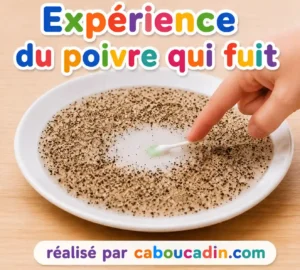 experience-le-poivre-qui-fuit