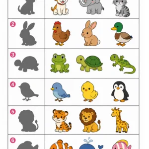 Fiche maternelle : Retrouver l'animal qui correspond à son ombre
