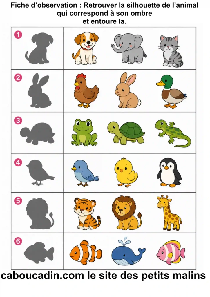 Fiche maternelle : Retrouver l'animal qui correspond à son ombre Fiche maternelle Retrouver animal qui correspond a son ombre 1